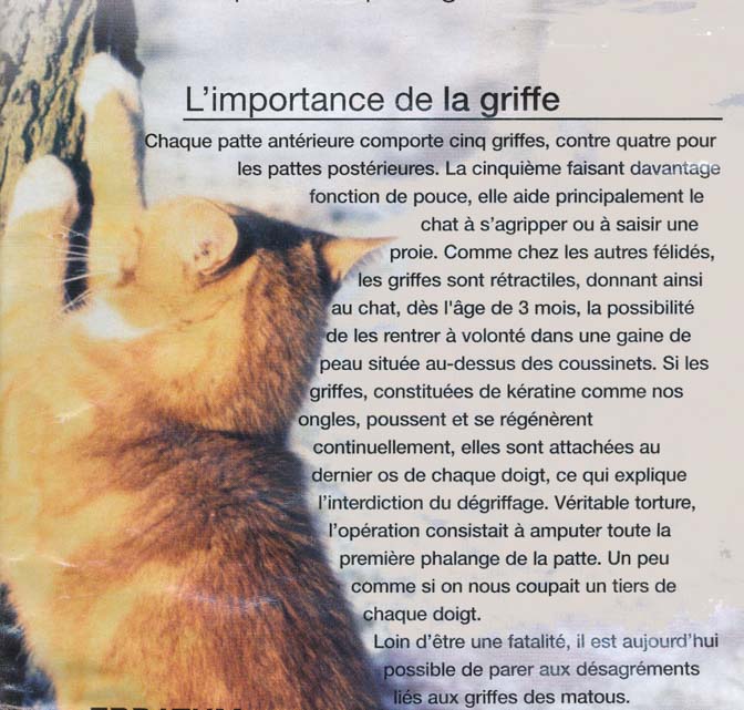 griffe