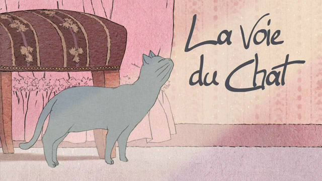 La voie du chat