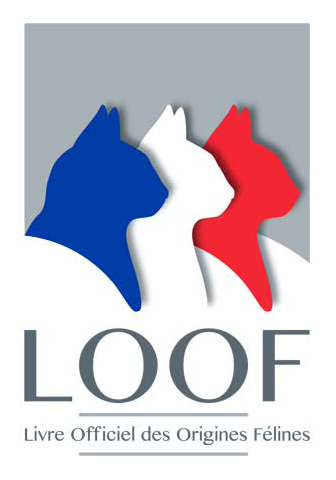 Un accord signé entre la FFF et le LOOF