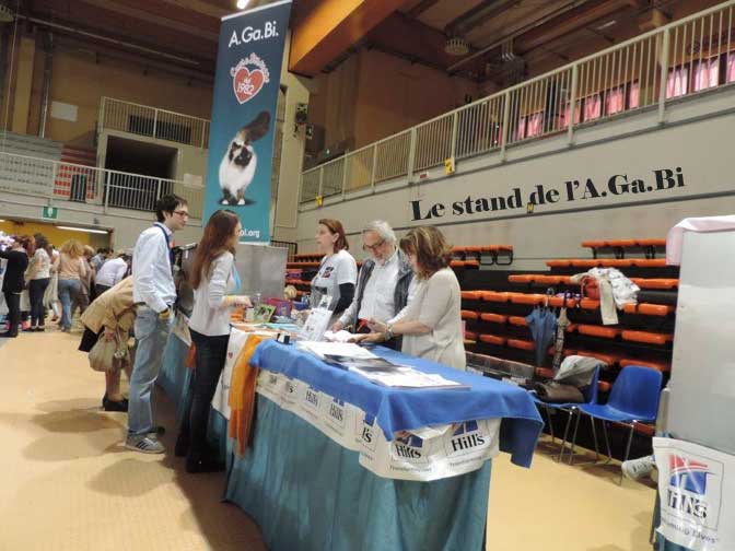 Le stand de l' A.Ga.Bi (Club du Birman italien)